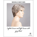 Load image into Gallery viewer, Napoli Soft by Ellen Wille in Middle Grey Mix-Lightest brown and light brown with grey blend
