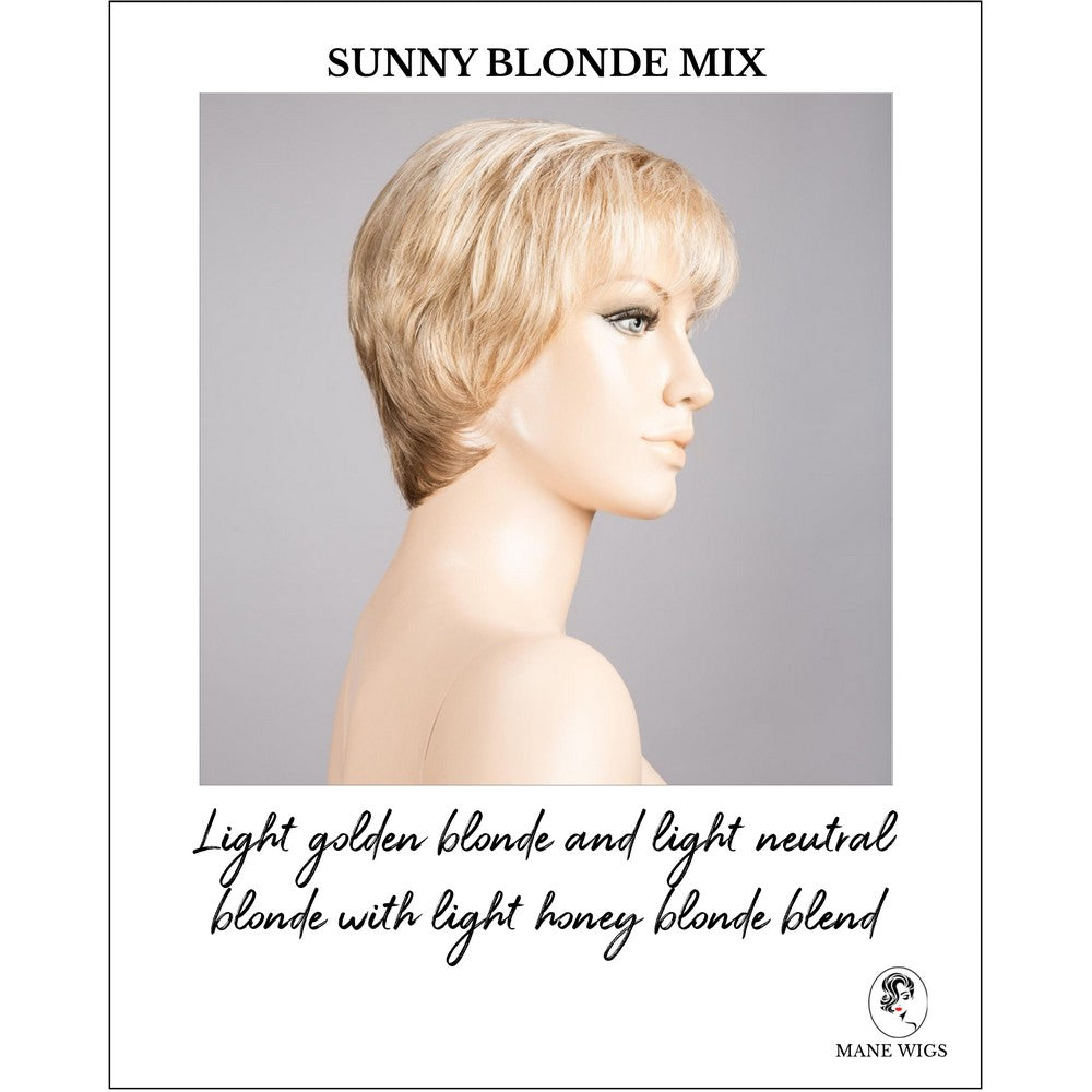 Napoli Soft by Ellen Wille in Sunny Blonde Mix-Light golden blonde and light neutral blonde with light honey blonde blend