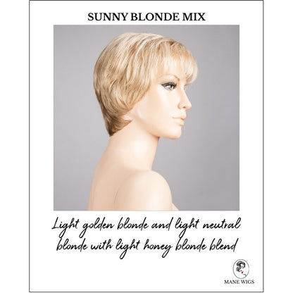 Napoli Soft by Ellen Wille in Sunny Blonde Mix-Light golden blonde and light neutral blonde with light honey blonde blend