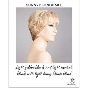 Napoli Soft by Ellen Wille in Sunny Blonde Mix-Light golden blonde and light neutral blonde with light honey blonde blend
