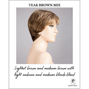 Napoli Soft by Ellen Wille in Teak Brown Mix-Lightest brown and medium brown with light auburn and medium blonde blend