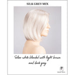 Load image into Gallery viewer, Narano by Ellen Wille in Silk Grey Mix-Silver white blended with light brown and dark grey

