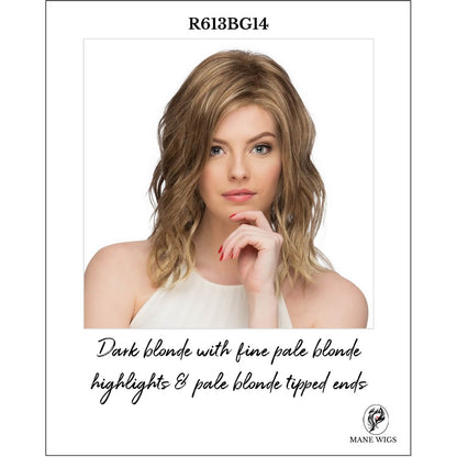 R613BG14-Dark blonde with fine pale blonde highlights & pale blonde tipped ends