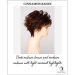 Load image into Gallery viewer, Olivia By Envy in Cinnamon Raisin-Dark auburn brown and medium auburn with light caramel highlights
