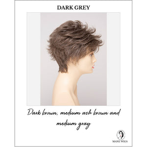 Olivia By Envy in Dark Grey-Dark brown, medium ash brown and medium gray