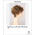Load image into Gallery viewer, Olivia By Envy in Frosted-Light brown with wheat blonde tips
