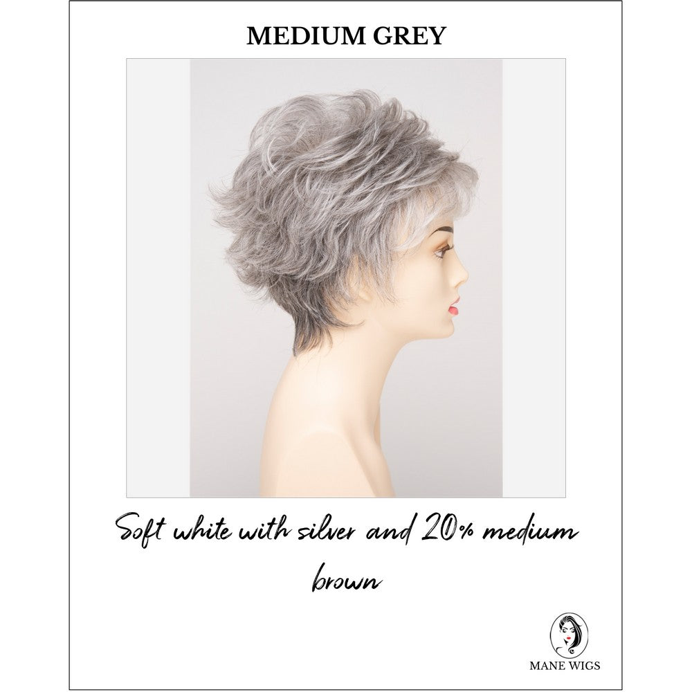 Olivia By Envy in Medium Grey-Soft white with silver and 20% medium brown