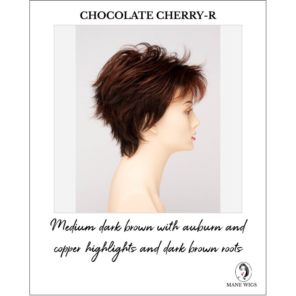 Ophelia By Envy in Chocolate Cherry-R-Medium dark brown with auburn and copper highlights and dark brown roots