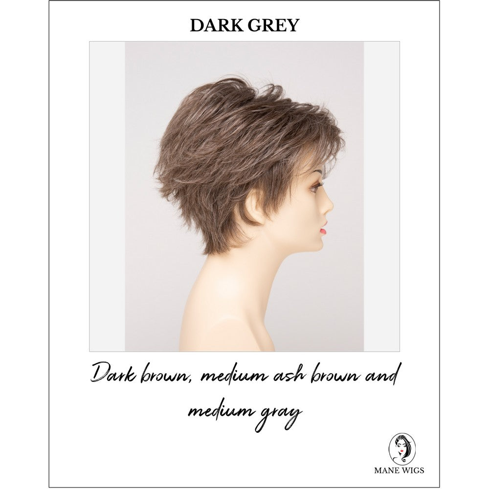 Ophelia By Envy in Dark Grey-Dark brown, medium ash brown and medium gray