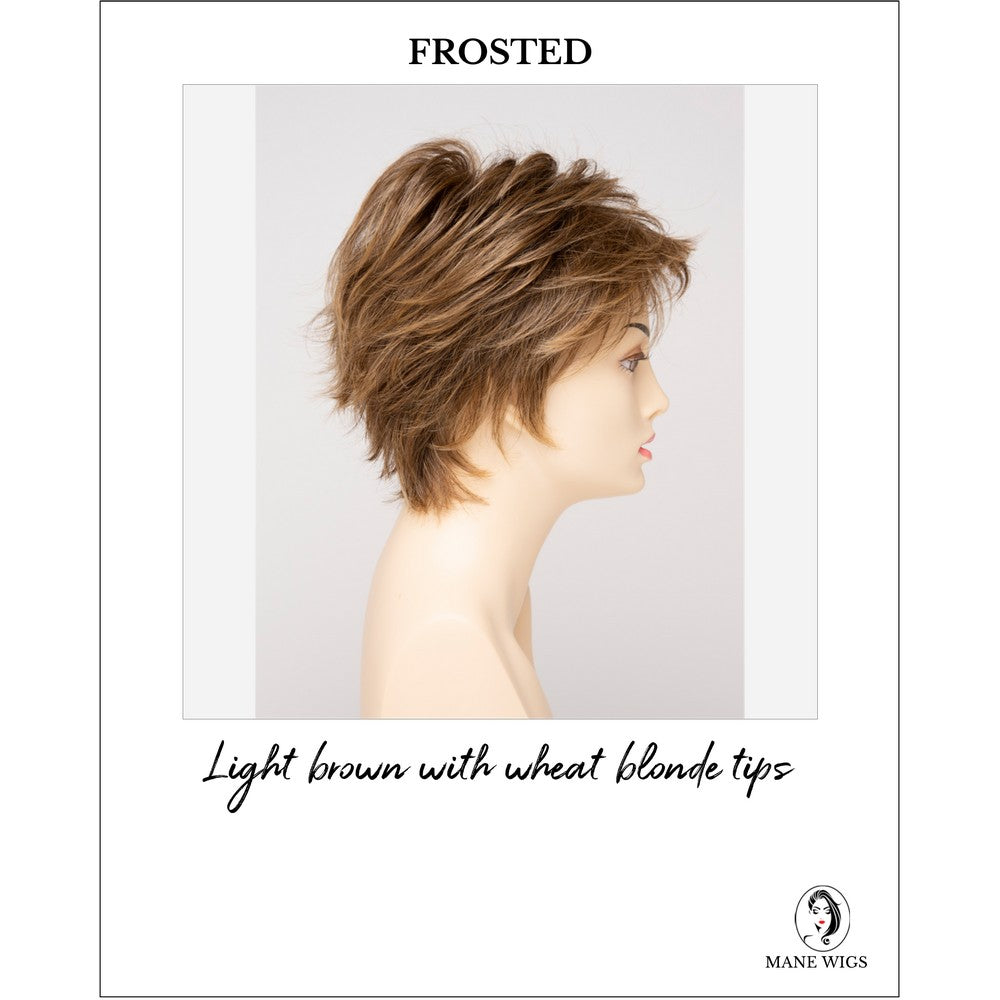 Ophelia By Envy in Frosted-Light brown with wheat blonde tips