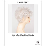 Load image into Gallery viewer, Ophelia By Envy in Light Grey-Soft white blended with silver
