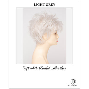 Ophelia By Envy in Light Grey-Soft white blended with silver