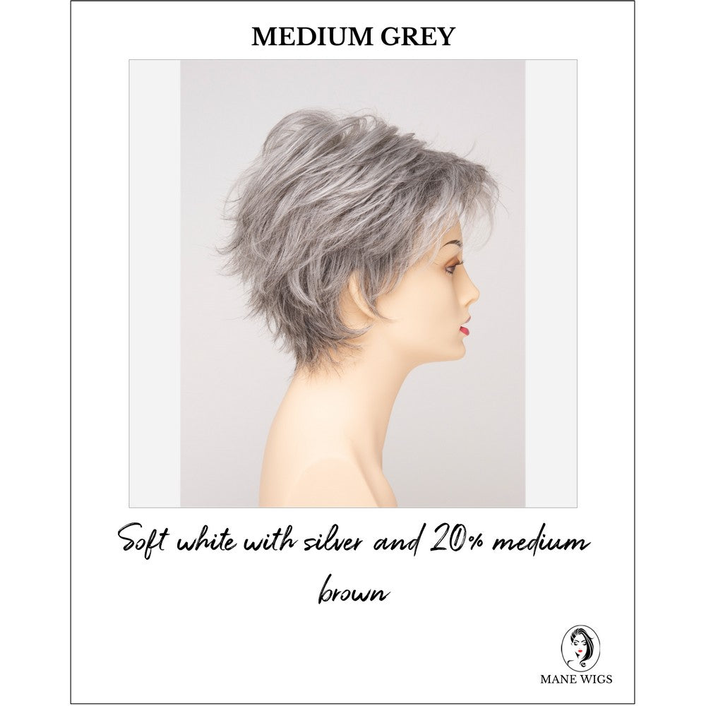 Ophelia by Envy in Medium Grey-Soft white with silver and 20% medium brown