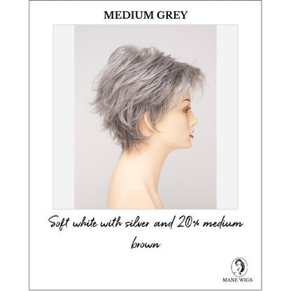 Ophelia by Envy in Medium Grey-Soft white with silver and 20% medium brown