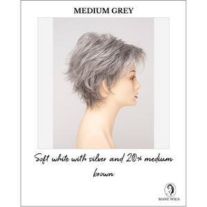 Ophelia by Envy in Medium Grey-Soft white with silver and 20% medium brown