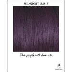 Load image into Gallery viewer, Midnight Iris-R-Deep purple with dark roots
