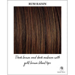 Load image into Gallery viewer, Rum Raisin-Dark brown and dark auburn with gold brown blend tips
