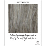 Load image into Gallery viewer, Silver Frost-Color 60 framing the face with a blend of 56 and light ash brown
