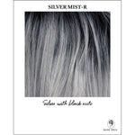 Load image into Gallery viewer, Silver Mist-R-Silver with black roots
