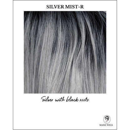 Silver Mist-R-Silver with black roots