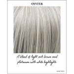 Load image into Gallery viewer, Oyster-A blend of light ash brown and platinum with white highlights
