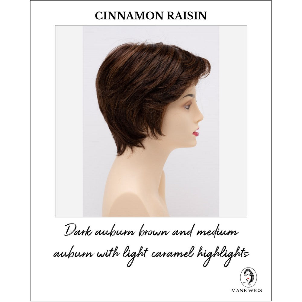 Paula wig by Envy in Cinnamon Raisin-Dark auburn brown and medium auburn with light caramel highlights