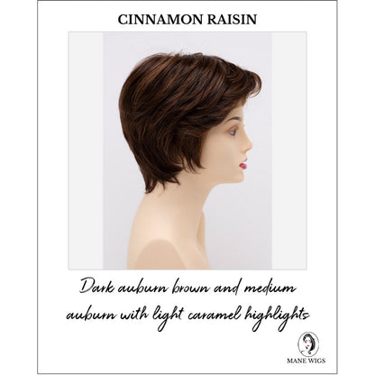 Paula wig by Envy in Cinnamon Raisin-Dark auburn brown and medium auburn with light caramel highlights