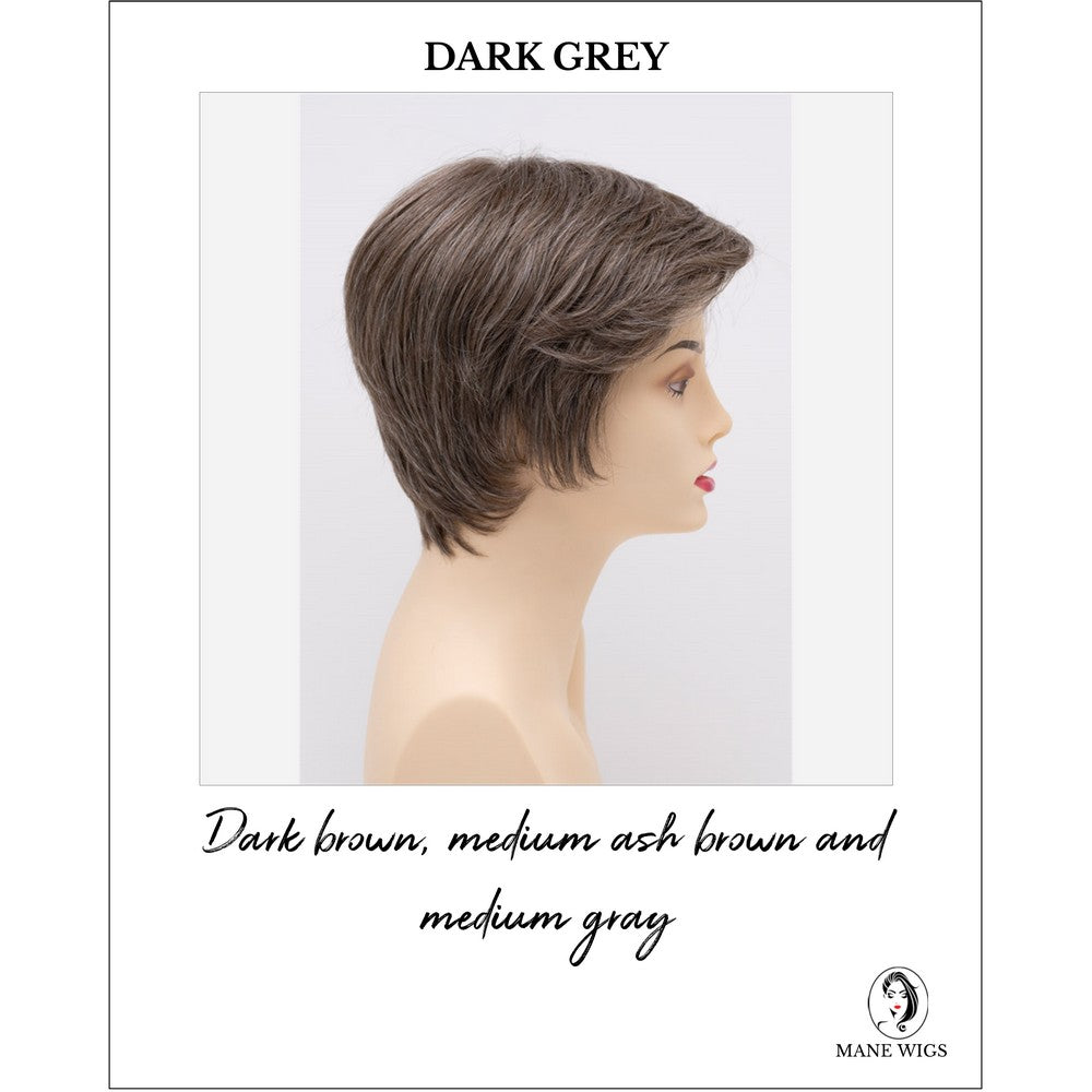 Paula wig by Envy in Dark Grey-Dark brown, medium ash brown and medium gray