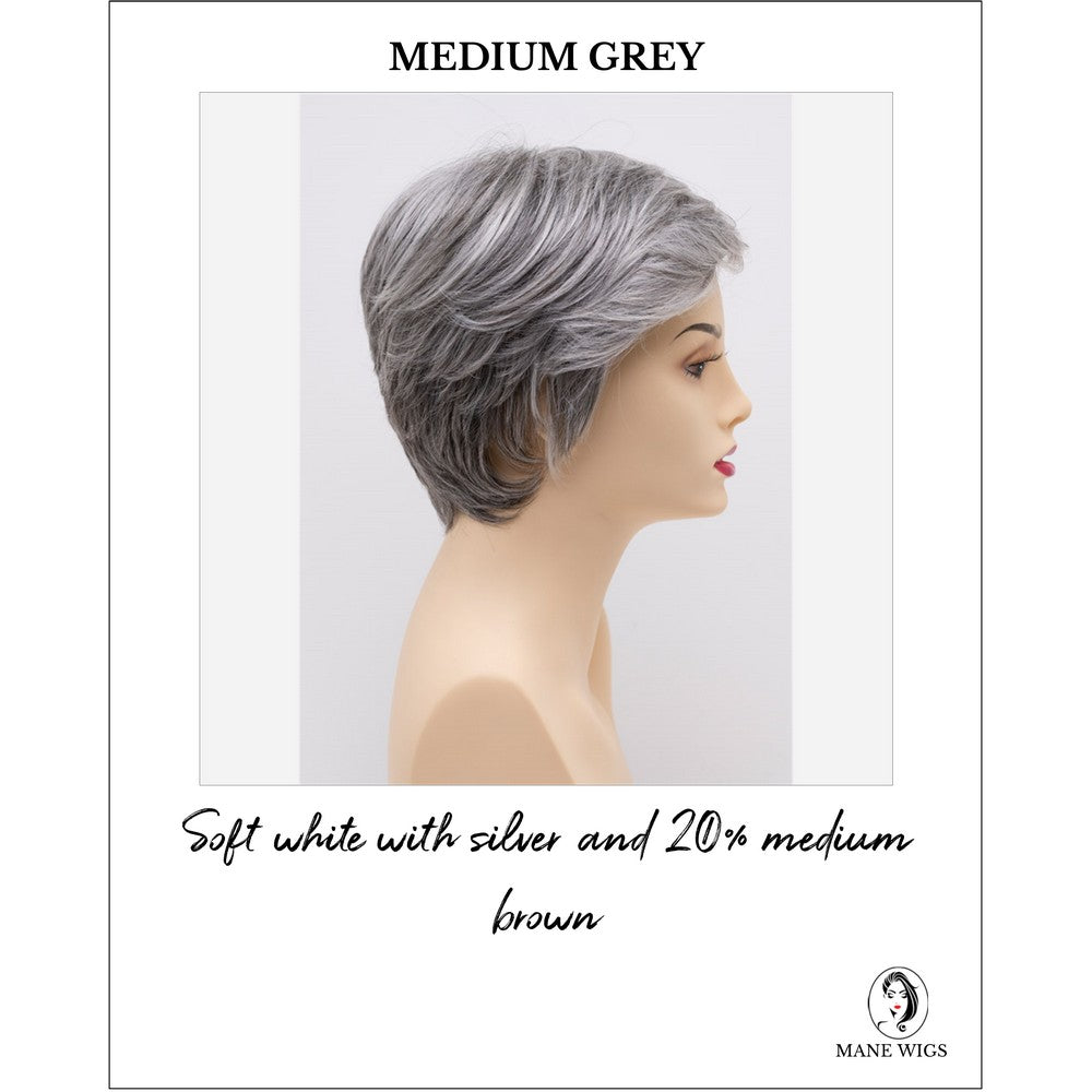 Paula wig by Envy in Medium Grey-Soft white with silver and 20% medium brown