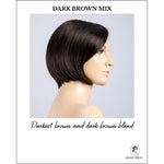 Load image into Gallery viewer, Piemonte Super by Ellen Wille in Dark Brown Mix-Darkest brown and dark brown blend
