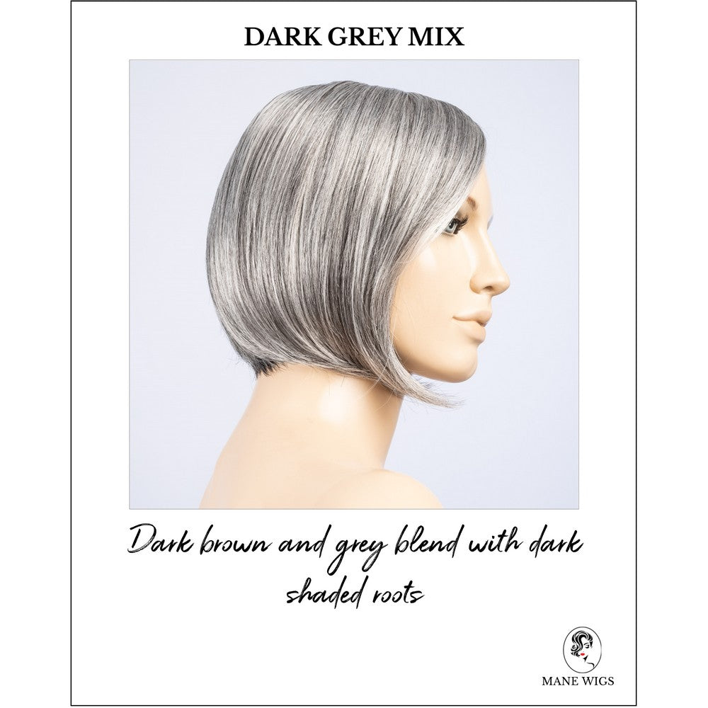 Piemonte Super by Ellen Wille in Dark Grey Mix-Dark brown and grey blend with dark shaded roots