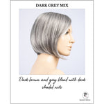 Load image into Gallery viewer, Piemonte Super by Ellen Wille in Dark Grey Mix-Dark brown and grey blend with dark shaded roots
