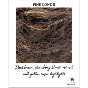 Pine Cone II-Dark brown, strawberry blonde, red soil with golden copper highlights