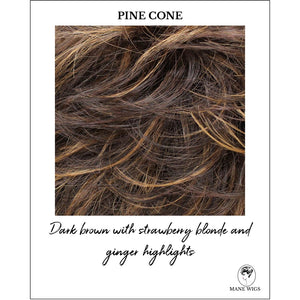 Pine Cone-Dark brown with strawberry blonde and ginger highlights