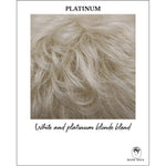 Load image into Gallery viewer, Platinum-White and platinum blonde blend
