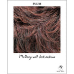 Load image into Gallery viewer, Plum-Mulberry with dark auburn
