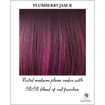 Load image into Gallery viewer, Plumberry Jam-R-Rooted medium plum ombre with 50/50 blend of red/fuschia
