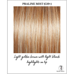 Praline Mist (G19+)-Light golden brown with light blonde highlights on top