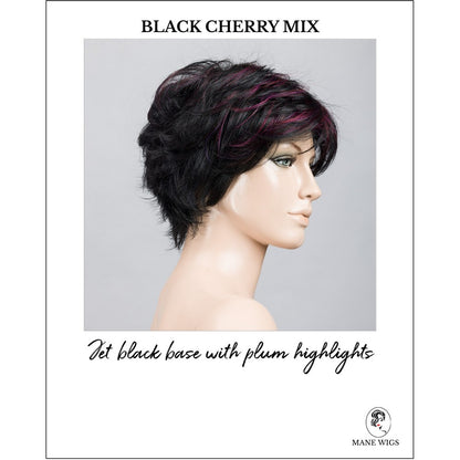 Relax by Ellen Wille in Black Cherry Mix-Jet black base with plum highlights