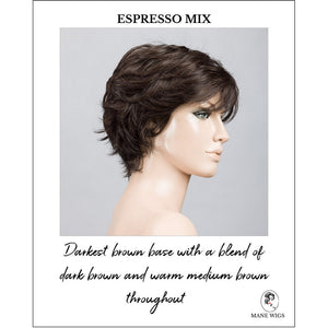 Relax by Ellen Wille in Espresso Mix-Darkest brown base with a blend of dark brown and warm medium brown throughout 