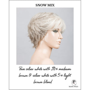 Relax by Ellen Wille in Snow Mix-Pure silver white with 10% medium brown & silver white with 5% light brown blend