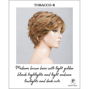 Relax by Ellen Wille in Tobacco-R-Medium brown base with light golden blonde highlights and light auburn lowlights and dark roots