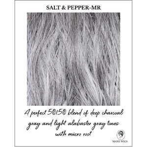 Salt & Pepper-MR-A perfect 50/50 blend of deep charcoal gray and light alabaster gray tones with micro root