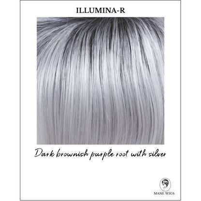 Illumina-R-Dark brownish purple root with silver