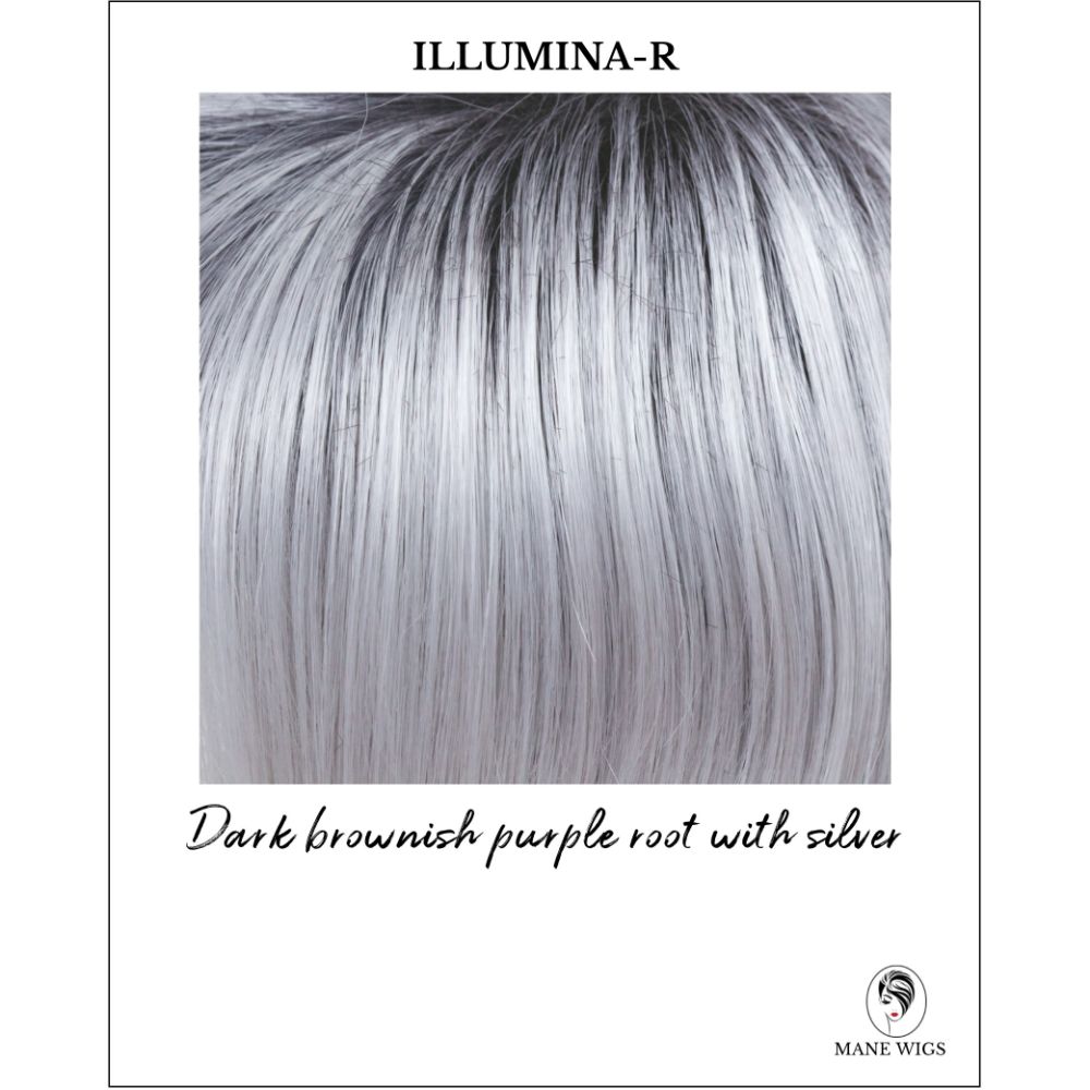 Illumina-R-Dark brownish purple root with silver