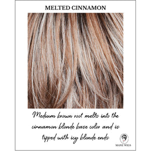 Melted Cinnamon-Medium brown root melts into the cinnamon blonde base color and is tipped with icy blonde ends      