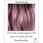 Load image into Gallery viewer, Melted Plum-Long rooted dark plum transitioning into plum base, then lavender/pink tips
