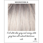 Load image into Gallery viewer, Moonstone-R-Blend of gray and light ash blonde highlights and dark ash brown root
