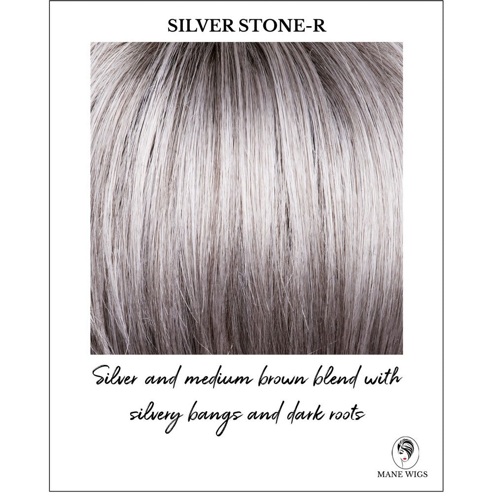 Silver Stone-R-Silver and medium brown blend with silver bangs and dark roots