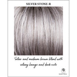 Load image into Gallery viewer, Silver Stone-R-Silver and medium brown blend with silver bangs and dark roots
